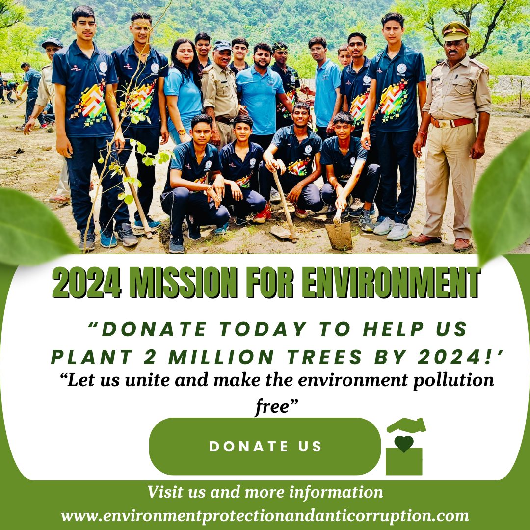 Our Big Project: A Mission to Plant Two Million Trees