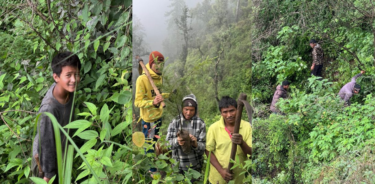 Urgent Call to Action: Preventing Forest Fires
