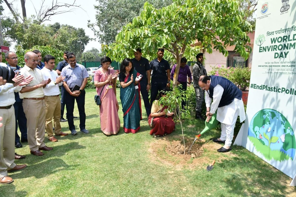 World Environment Day 2025 — saplings in the ground