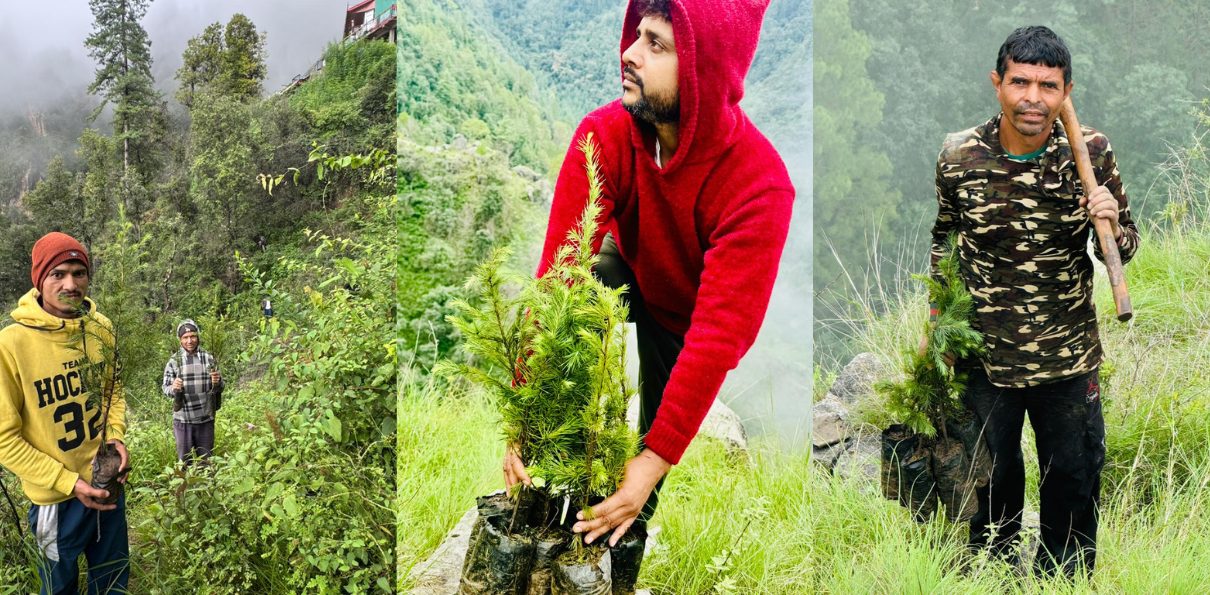 Plantation drive in Himachal Pradesh